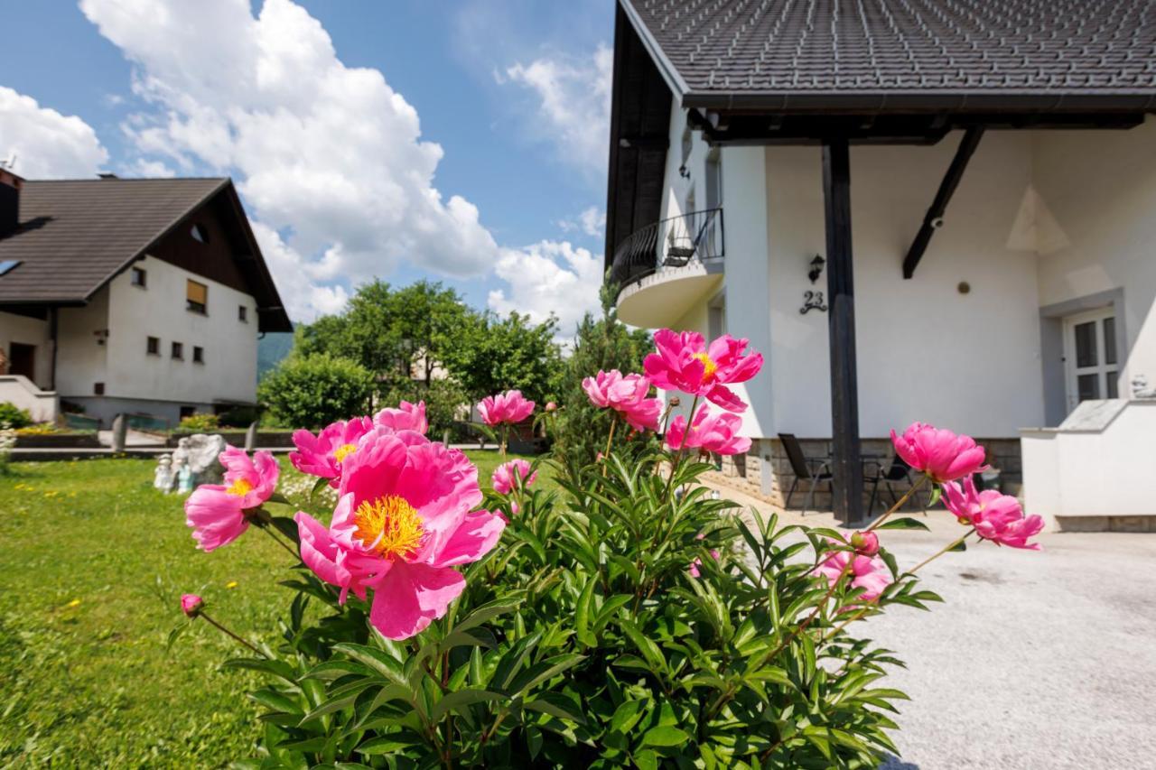 Apartment Wolf Bohinj Exterior photo